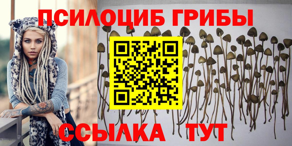 наркотики  Вход с VPN  Озёры  Псилоцибиновые грибы мицелий 
