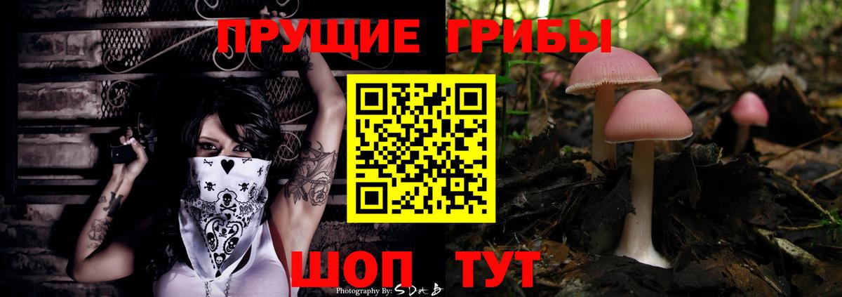 Галлюциногенные грибы GOLDEN TEACHER Озёры